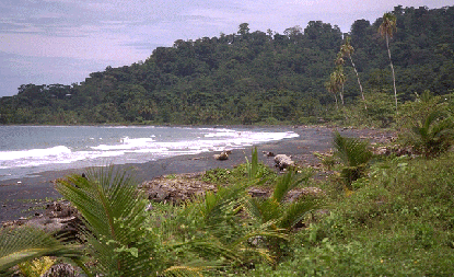 playa-negra